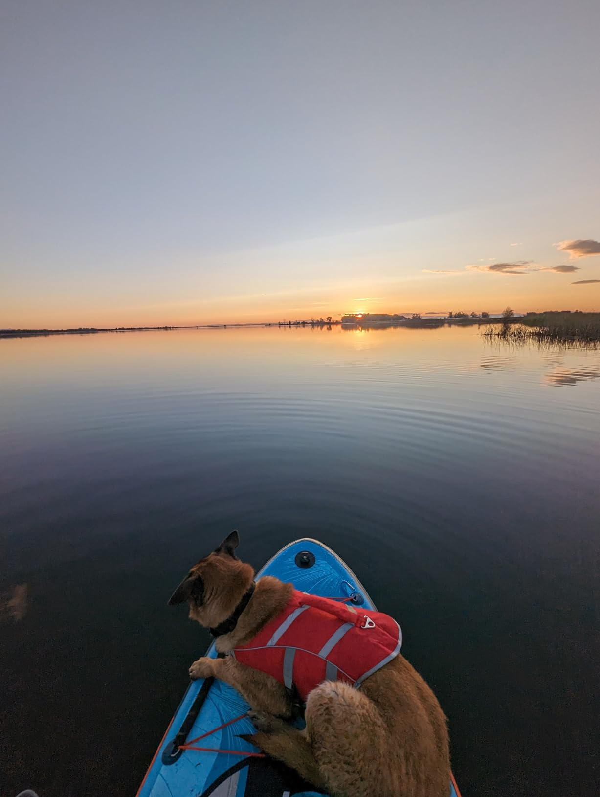 MyBoat Paddle Board Customer Review Photo 10