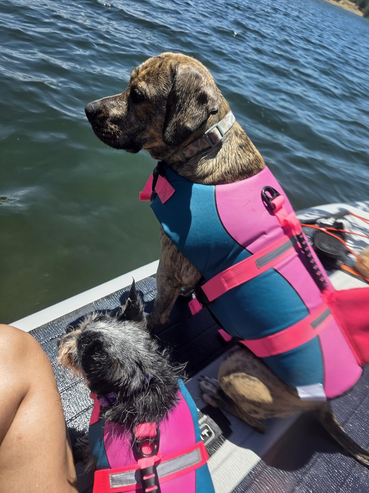 MyBoat Paddle Board Customer Review Photo 6